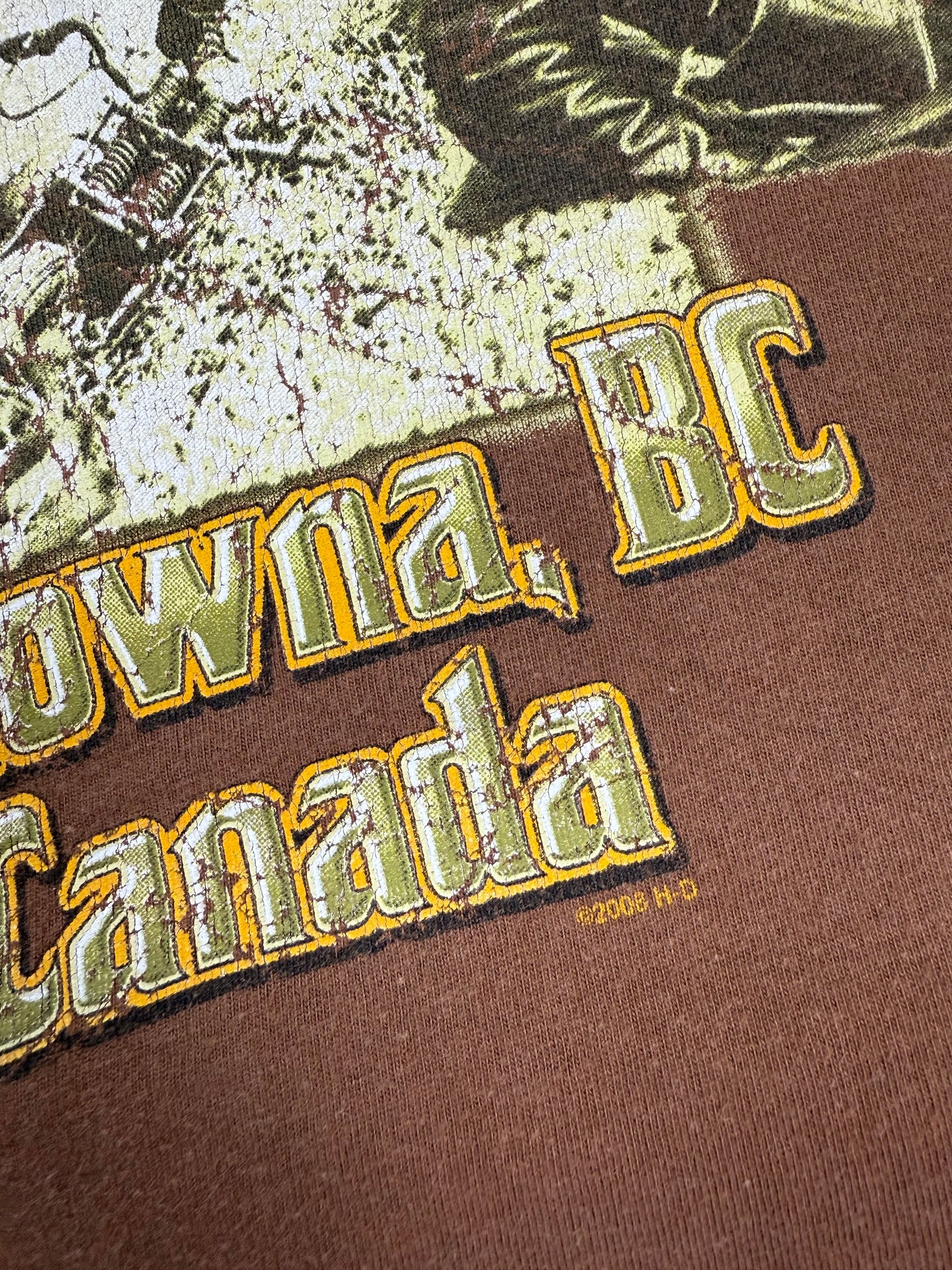 Vintage Harley Davidson Kane's Canada graphic tee (XL)