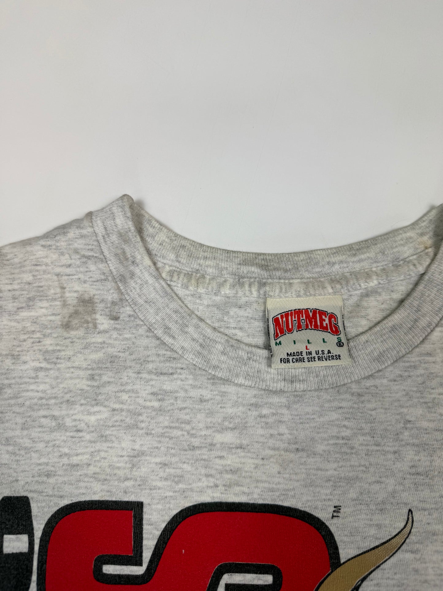 Vintage 90s Nutmeg Chicago Bulls graphic tee (S)