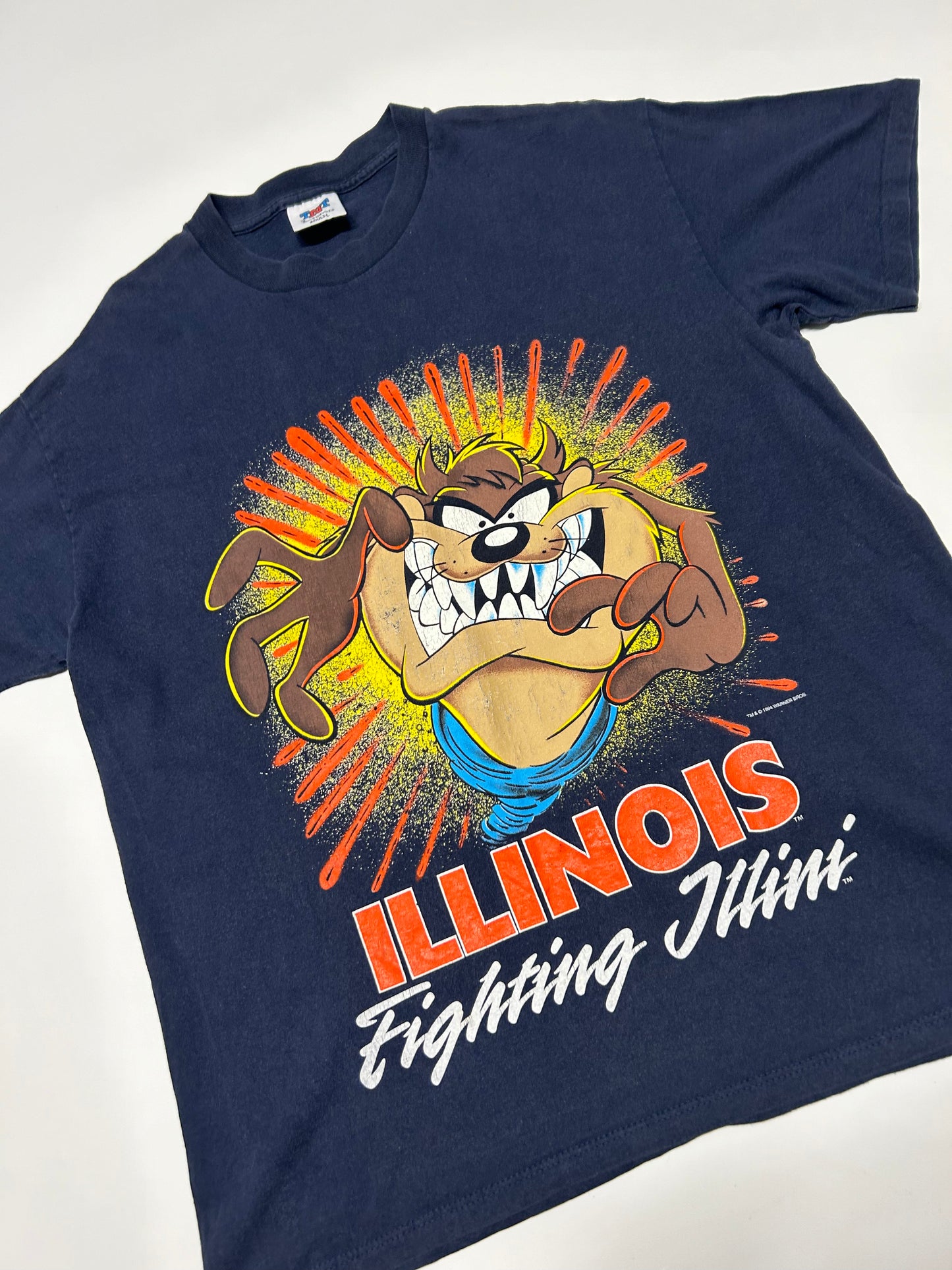Vintage 90s Taz Warner Bros tee (L)