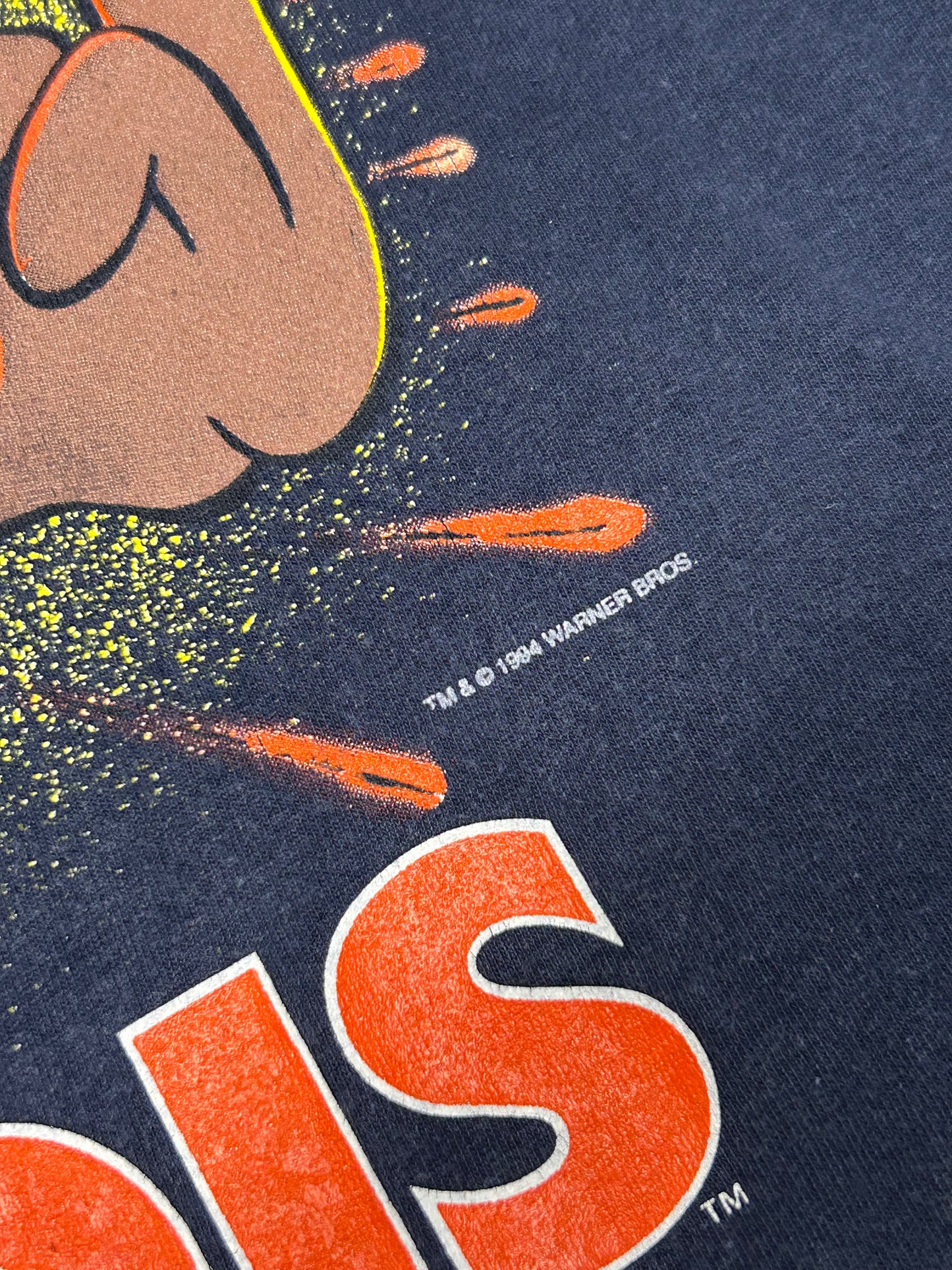 Vintage 90s Taz Warner Bros tee (L)