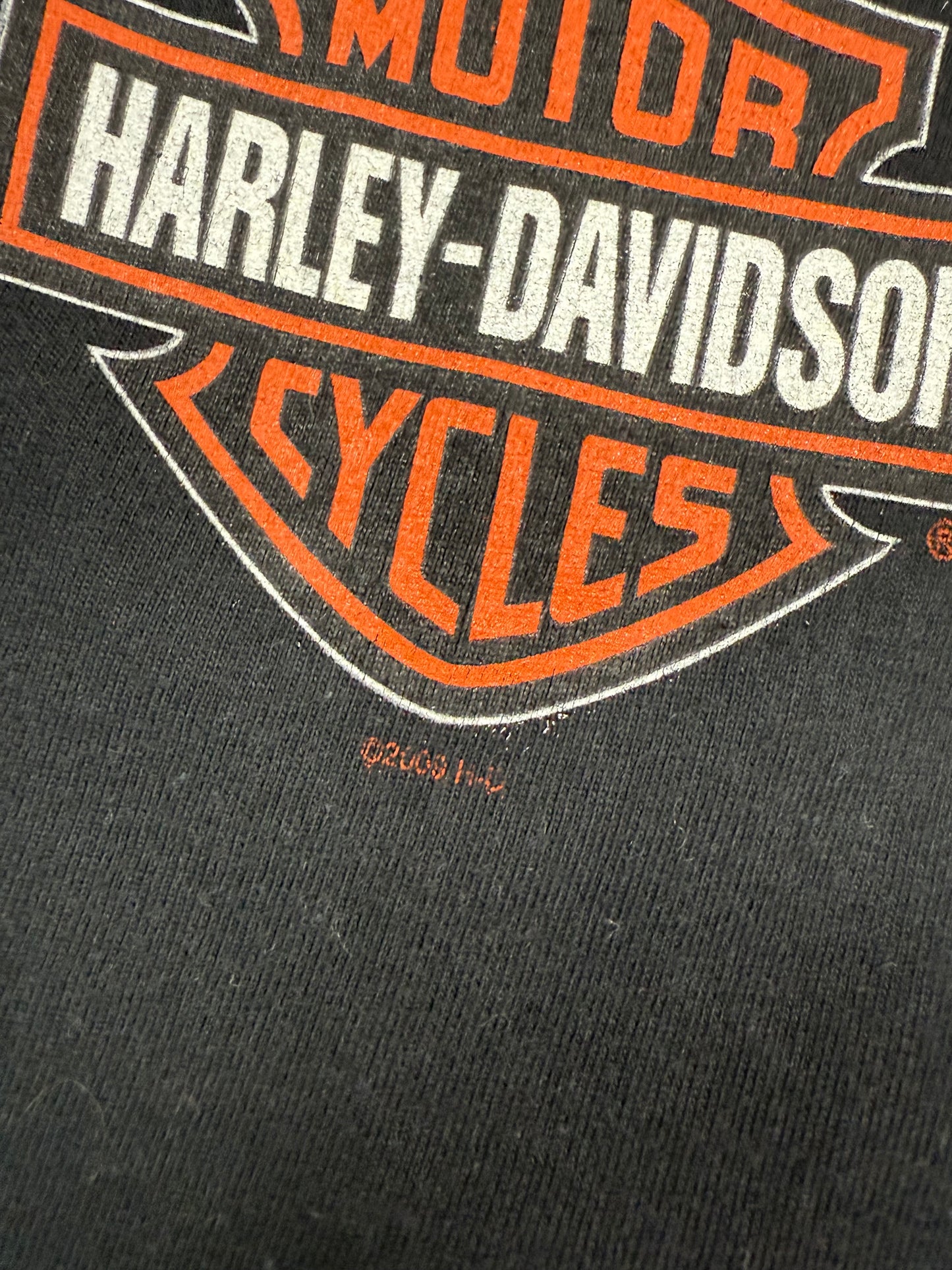 Vintage Harley Davidson Rome graphic tee (L)