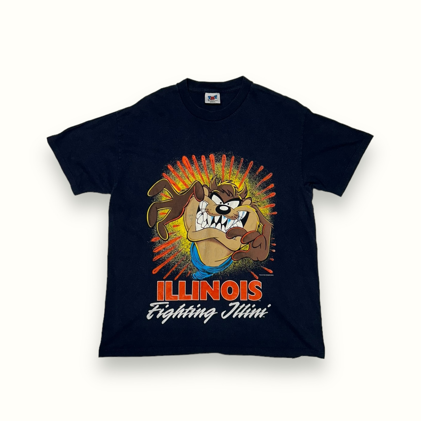 Vintage 90s Taz Warner Bros tee (L)