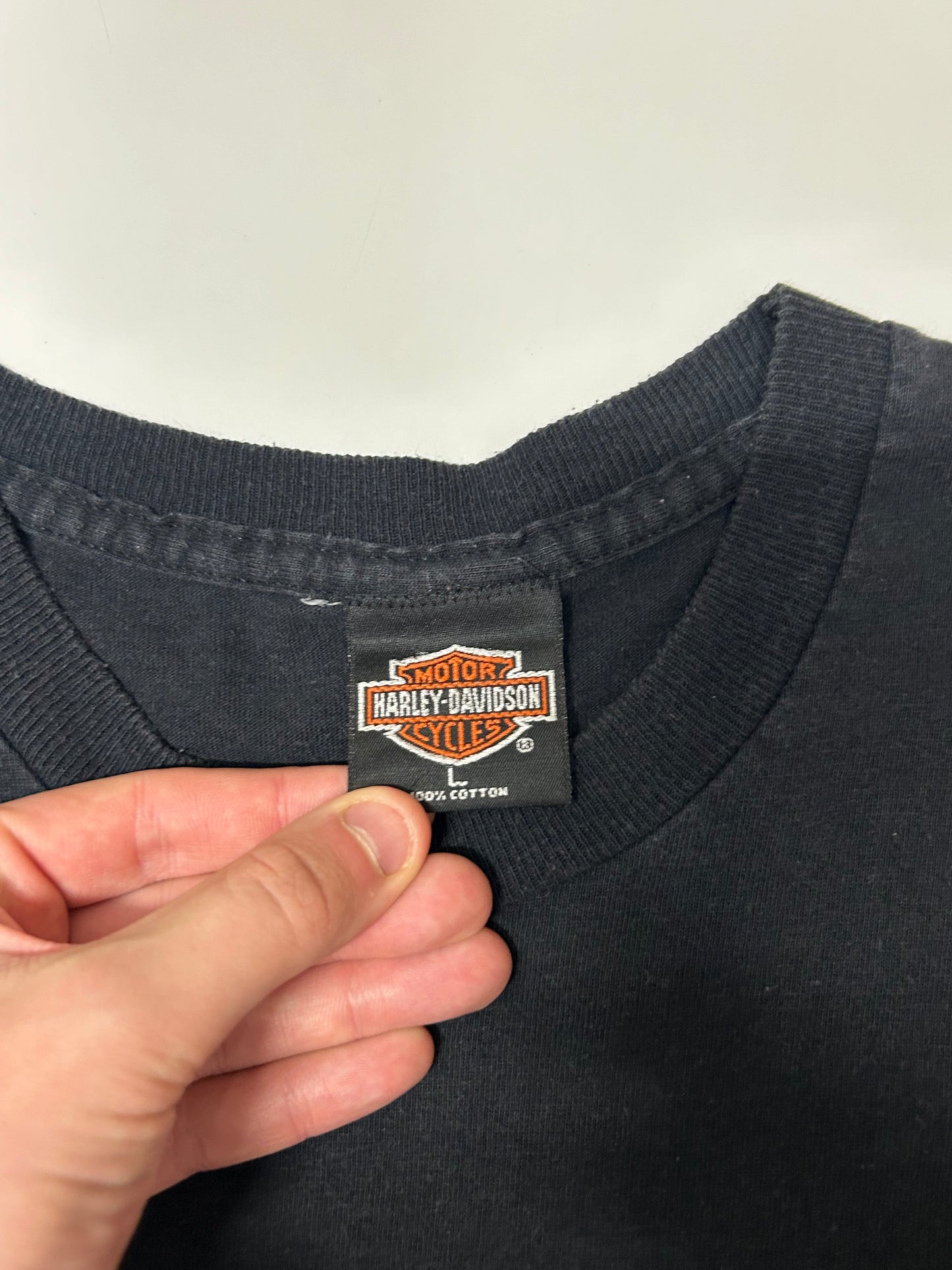 Vintage Harley Davidson 1995 tee (L)