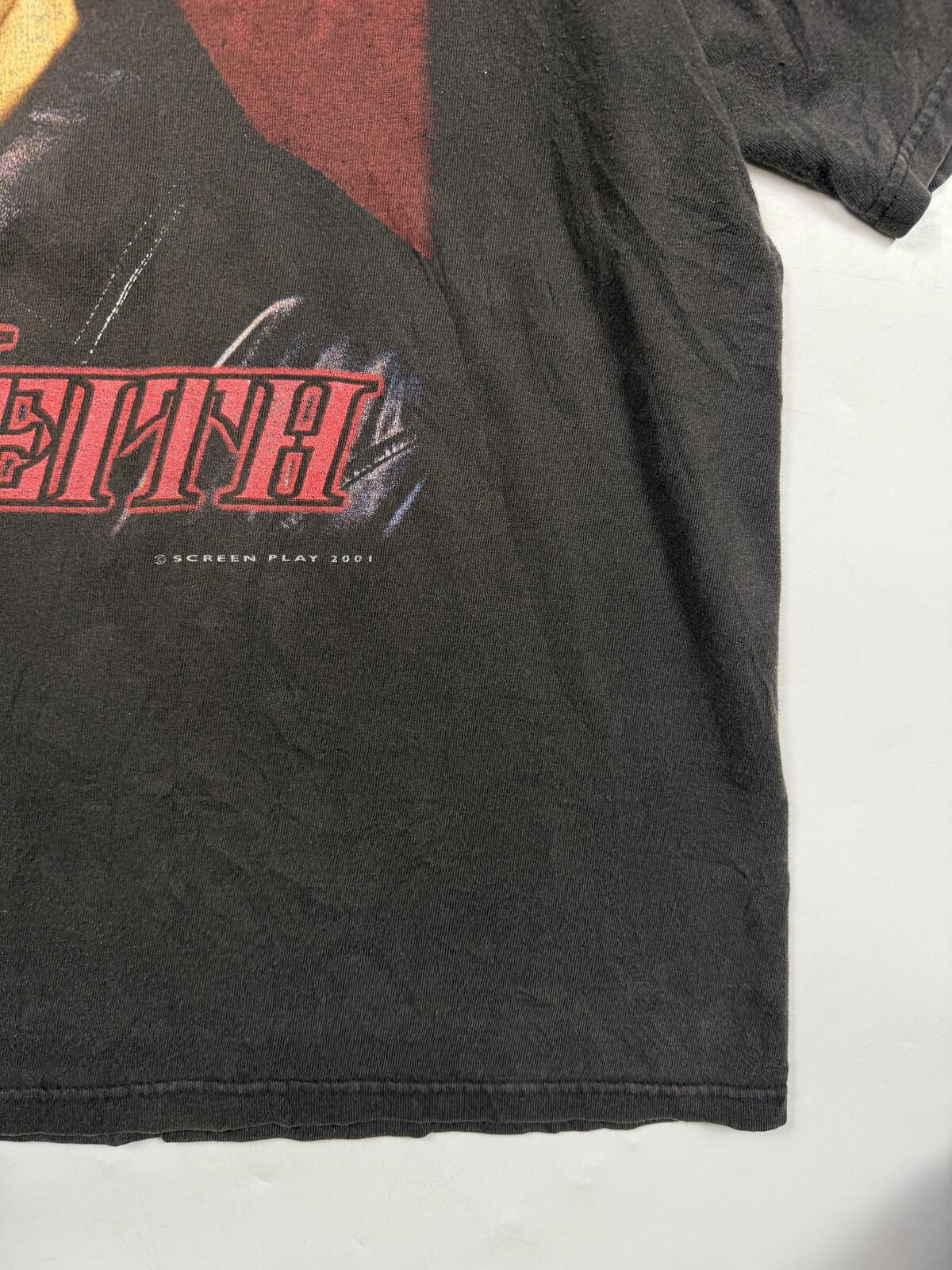 Vintage Toby Keith 2001 Country music graphic tee (XXL)