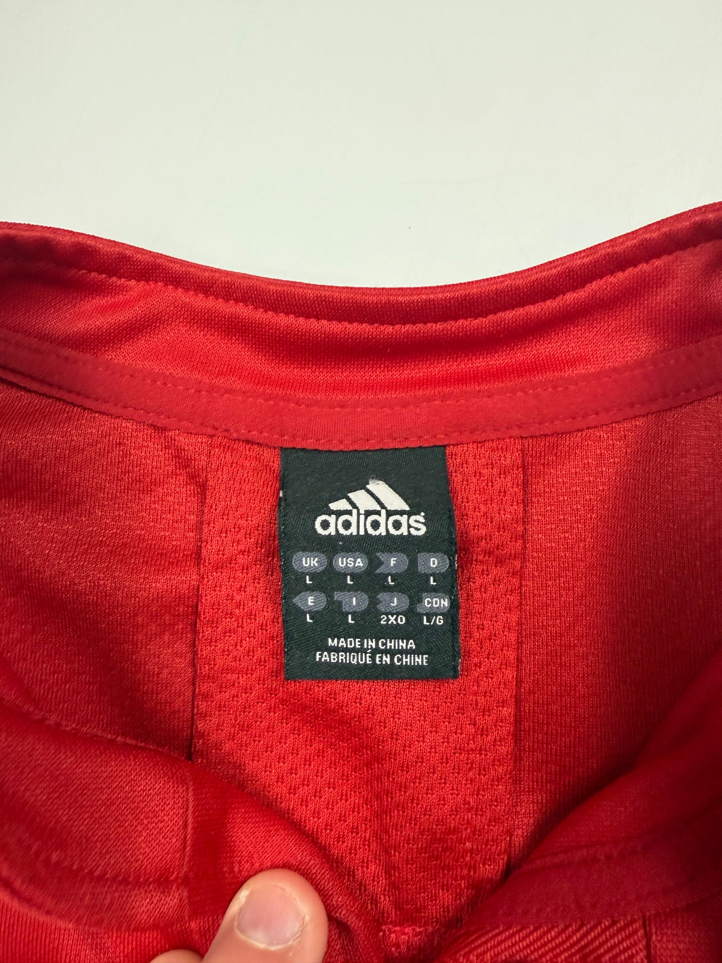 Vintage British & Irish Lions 2009 Adidas rugby shirt (L)