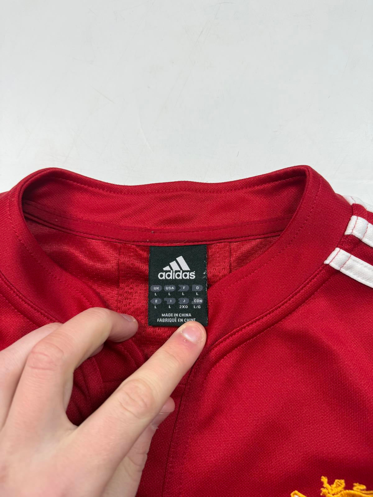 Vintage Lions 2009 tour Adidas rugby union shirt (L)