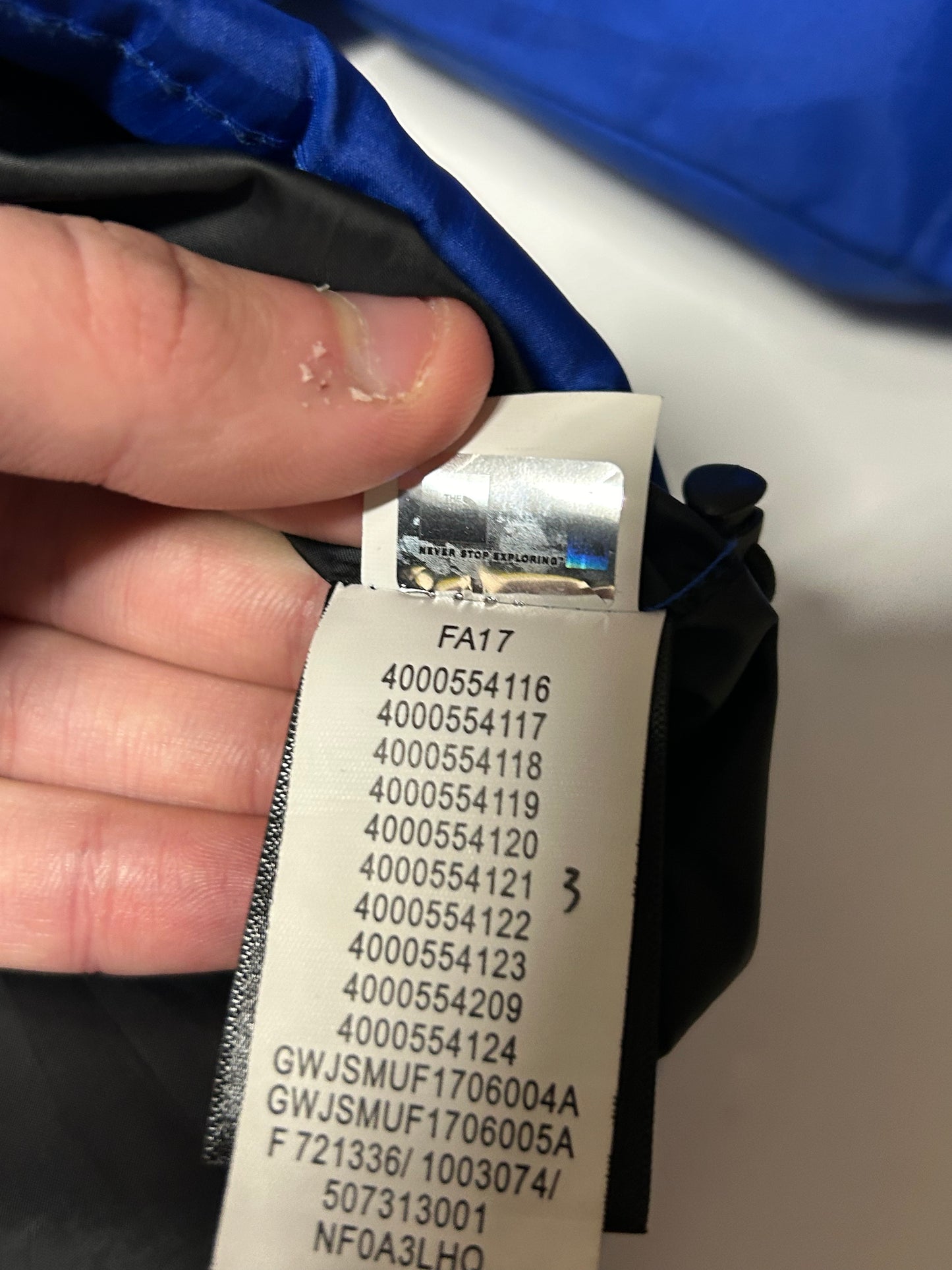 The North Face nuptse 700 puffer jacket (L)