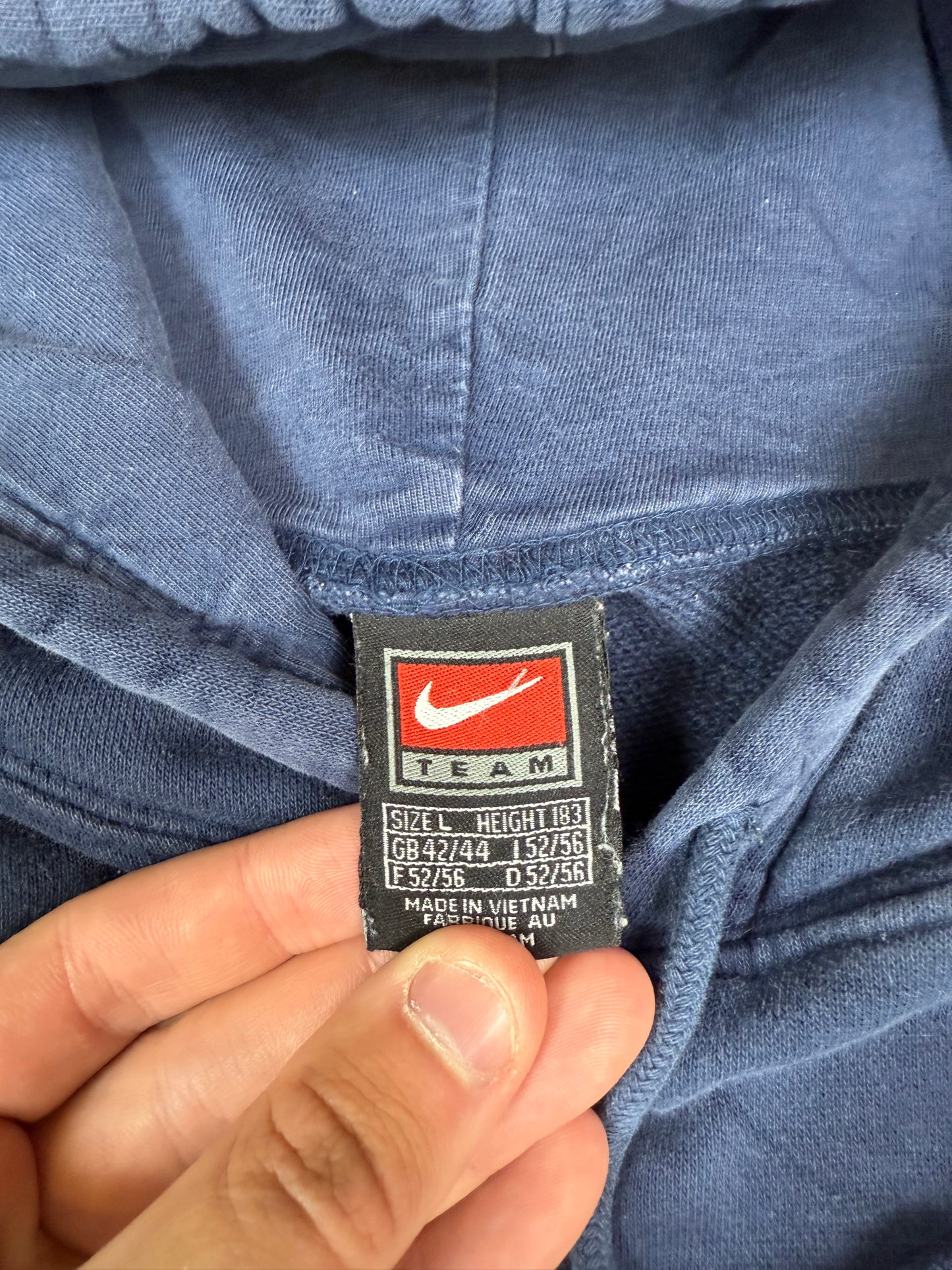 Vintage 90s Michigan Nike centre swoosh hoodie (L)