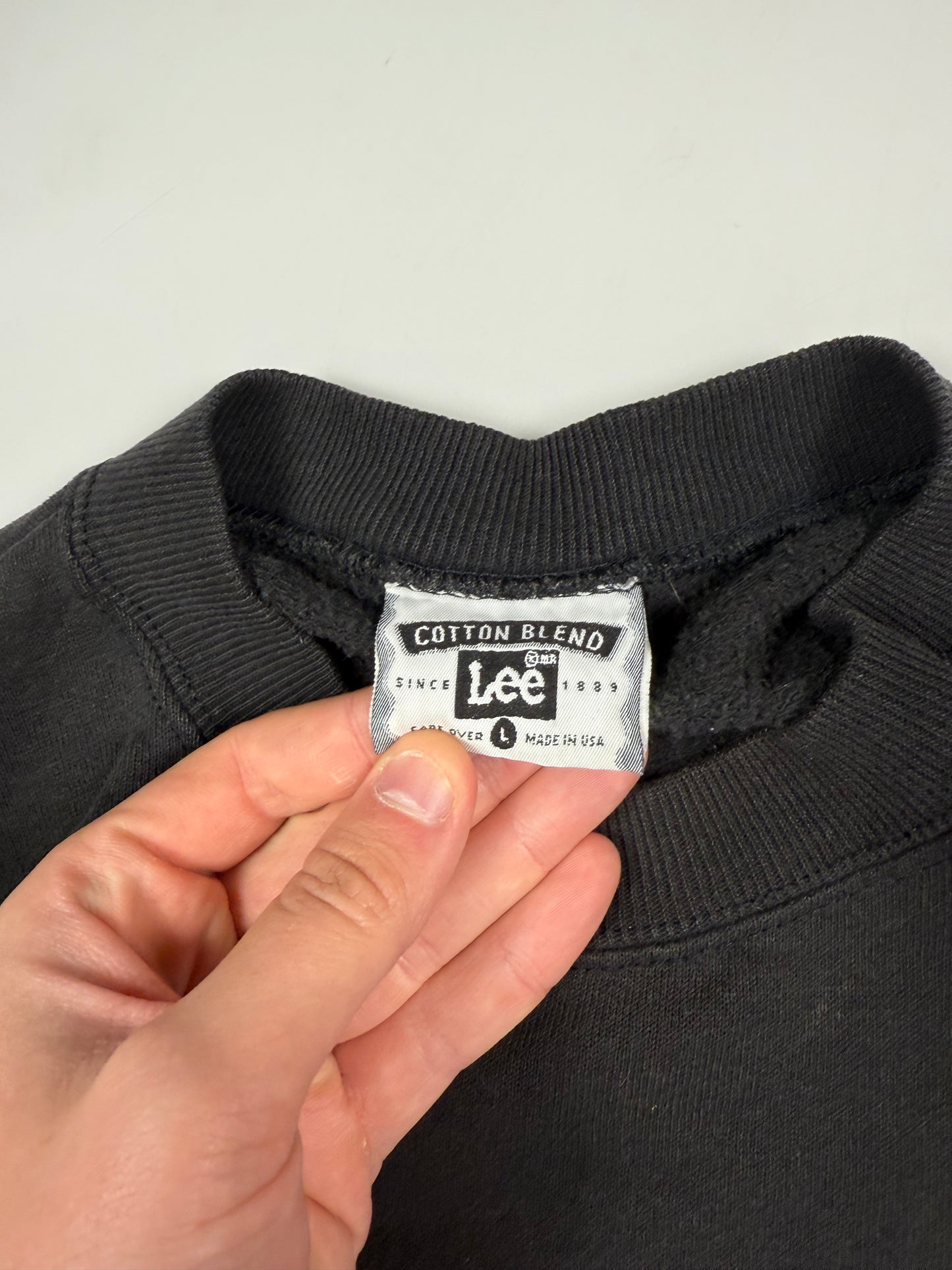 Vintage 90s Detroit Red Wings NHL graphic sweatshirt (L)