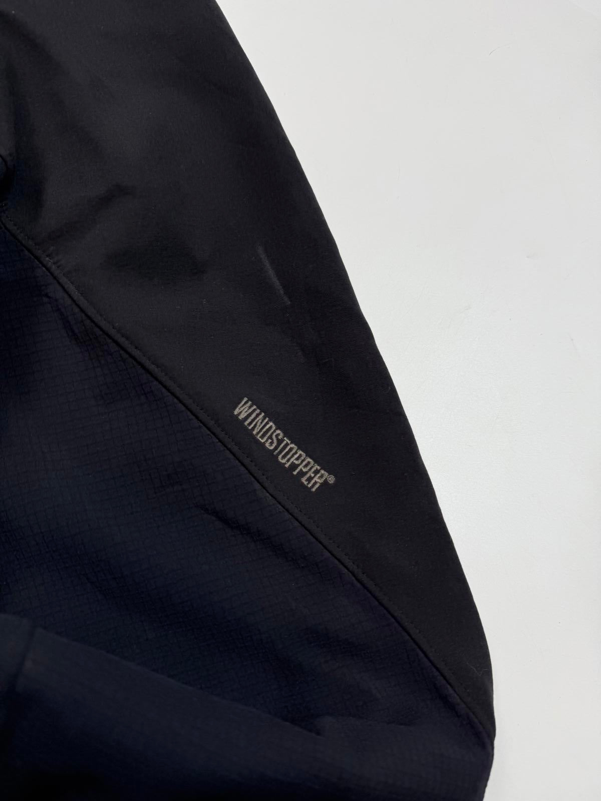 Vintage Arcteryx sigma AR jacket (M)