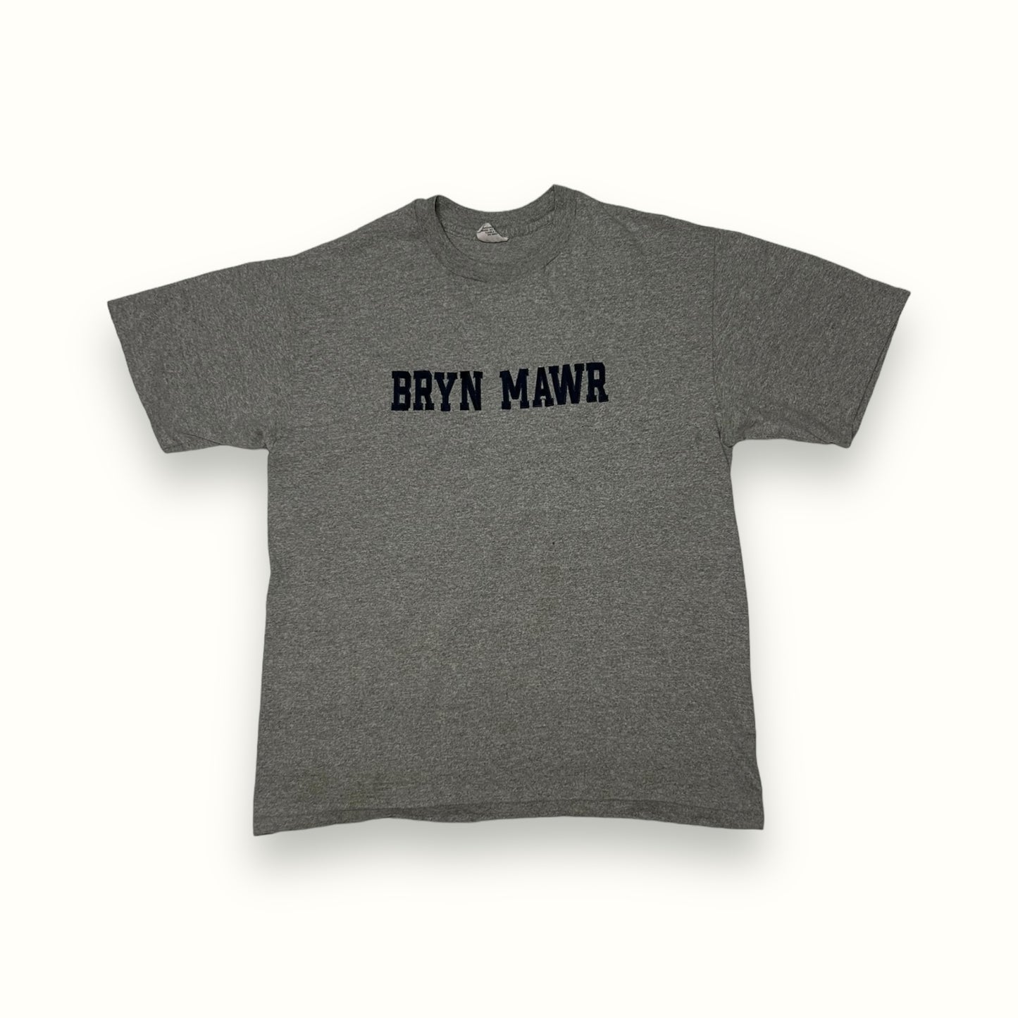 Vintage 90s Bryn Mawr tee (XL)
